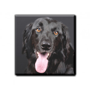 Magnete bedrucken 9.50 cm