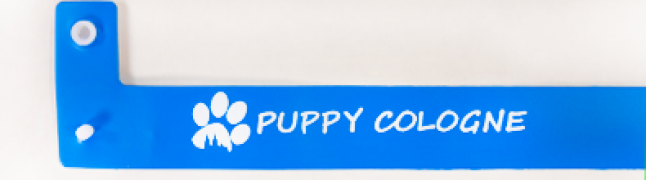 Ja, ich brauche einen einfarbigen Druck (1+0). - +€ 10,000 (+€ 12,000 Mit Mwst.)